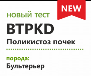 Поликистоз почек бультерьеров