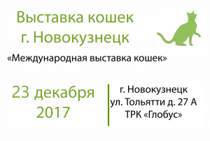 Международная выставка кошек г. Новокузнецк