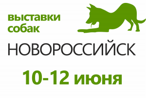 Выставки собак в Новороссийске