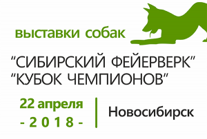 Выставки собак 
