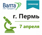 Семинар в Перми