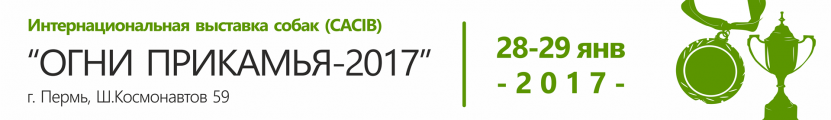 Интернациональная выставка собак CACIB 