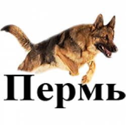 РОО Центр собаководства Пермского края