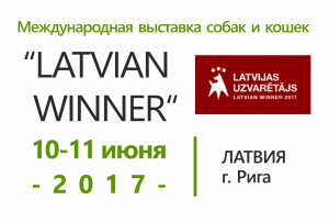 Международная выставка собак и кошек 