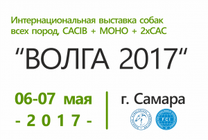 Интернациональная выставка собак всех пород «Волга-2017»