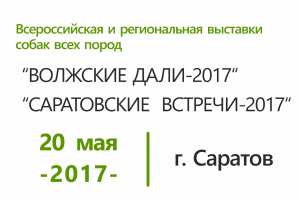 Всероссийская и региональная выставки собак всех пород «ВОЛЖСКИЕ ДАЛИ-2017» и «САРАТОВСКИЕ ВСТРЕЧИ-2017»