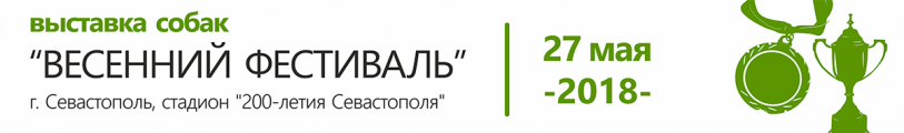 Выставка собак 