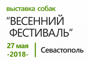 Выставка собак 