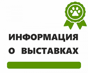 Информация о выставках