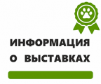 Информация о выставках