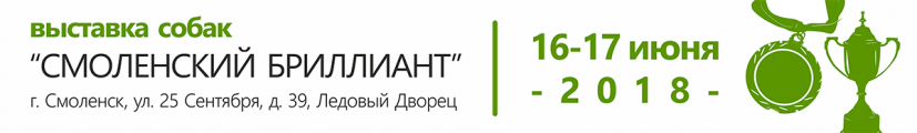 Международная выставка собак 
