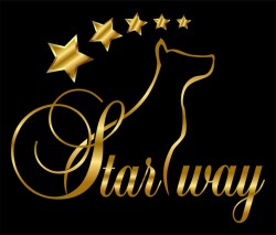 Кинологический центр STAR WAY