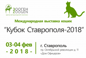 Выставка кошек г. Ставрополь