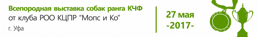 Всепородная выставка собак ранга КЧФ, клуба РОО КЦПР «Мопс и Ко»