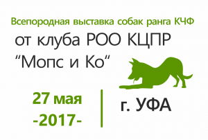 Всепородная выставка собак ранга КЧФ, клуба РОО КЦПР «Мопс и Ко»