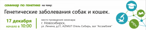 Семинар в Новосибирске
