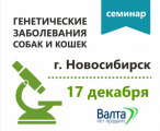 Семинар в Новосибирске