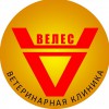 Ветеринарная клиника Астрахань Велес