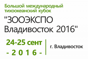Международная выставка собак 
