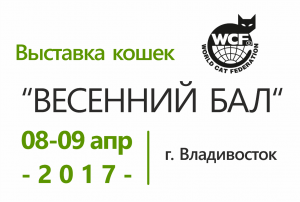 Выставка кошек 