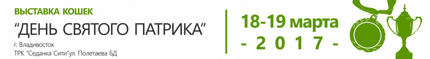 Выставка кошек