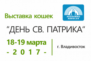 Выставка кошек 