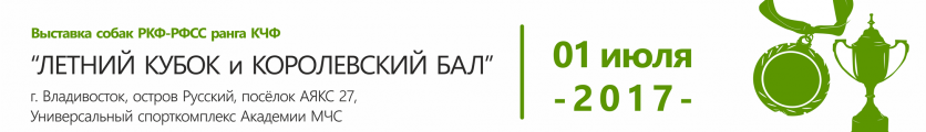Выставка собак 