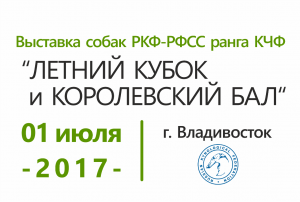 Выставка собак 