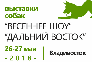 Выставки собак 