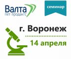 Семинар в Воронеже
