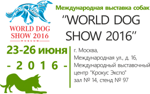 Международная выставка 
