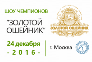 Шоу чемпионов Золотой ошейник